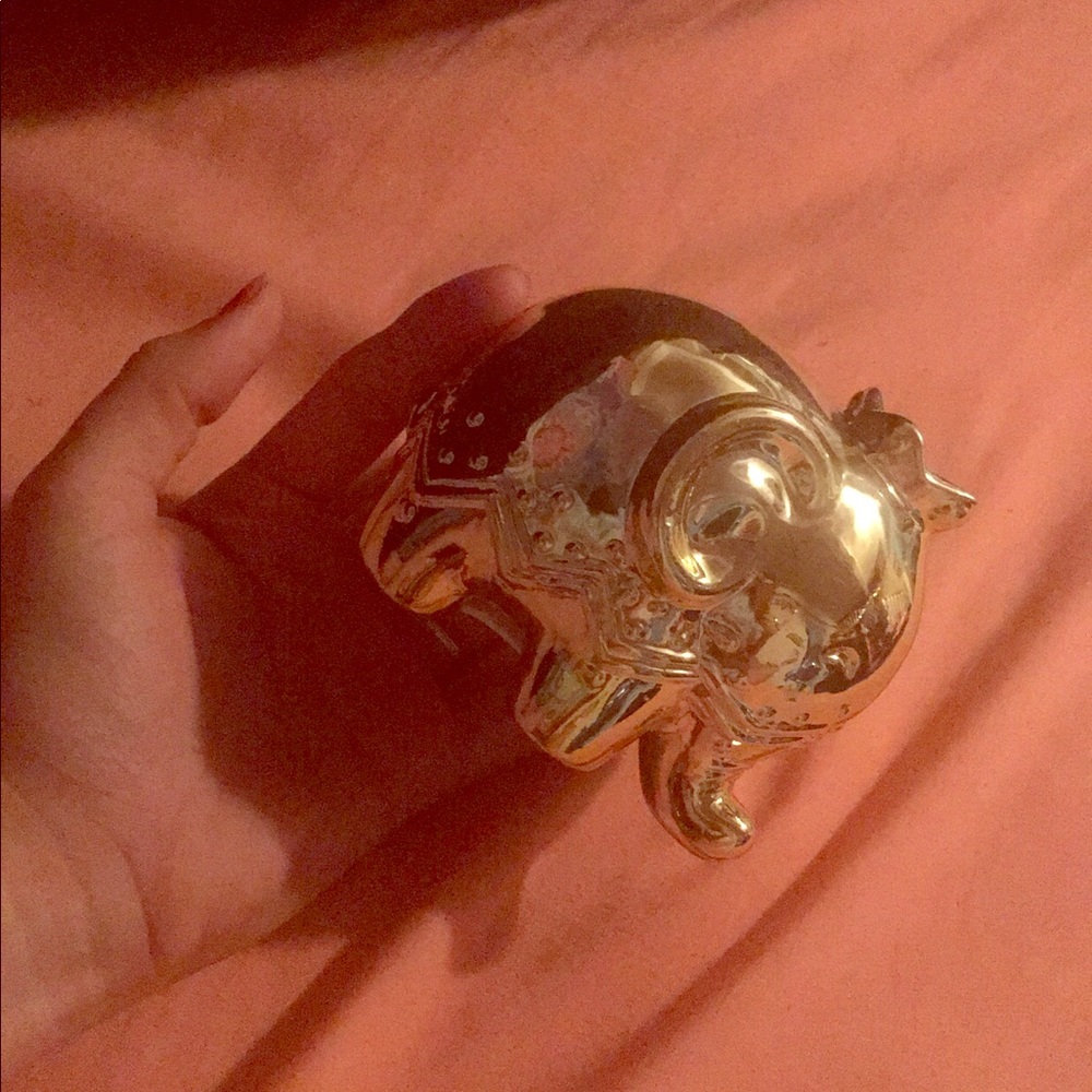 Princess pig coin collector